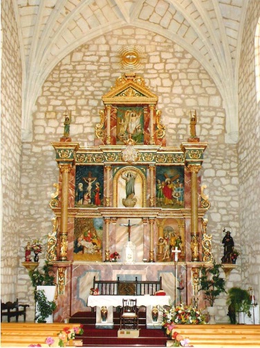 IMAGEN 11