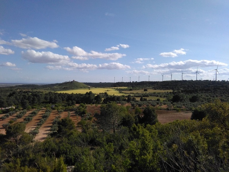 IMAGEN 18