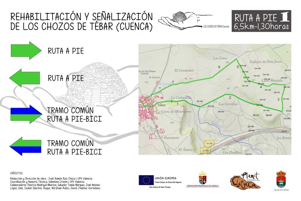 IMAGEN 6